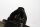 Démarreur, démarreur 12V dents BMW R 1200 GS K25 0307 R12 04-07
