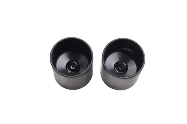 Hydrostößel Nockenwelle Ventilspiel rechts Paar BMW R 1100 GS 259 0409 93-99