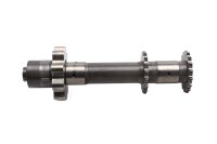 Oil pump shaft, drive shaft, front gear BMW R 1100 GS 259...