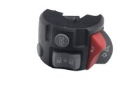 Left handlebar switch: ABS, horn, turn signals, lights...