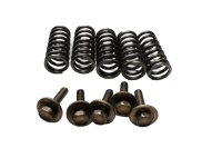 Clutch pressure plate spring set Moto Guzzi California III VW 87-93