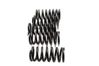 Clutch pressure plate spring set Moto Guzzi California III VW 87-93