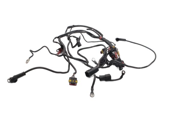 Cablaggio, cablaggio principale, impianto elettrico, connettori di accensione Ducati 750 SS ZDM750SC 91-98