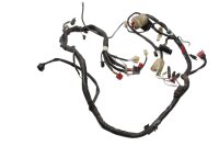 Wiring harness, main wiring harness, electrical system...