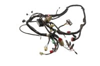 Wiring harness, main wiring harness, electrical system...