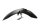 Garde-boue avant, garde-boue de roue avant BMW K 1300 R K43 0518 09-15