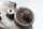 Getriebegehäuse Schaltgetriebe Kupplungsglocke BMW R 1200 GS K25 0307 R12 04-07