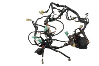 Mazo de cables principal, cable de encendido, fusible,...