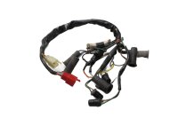 Wiring harness for instruments, speedometer, cockpit,...