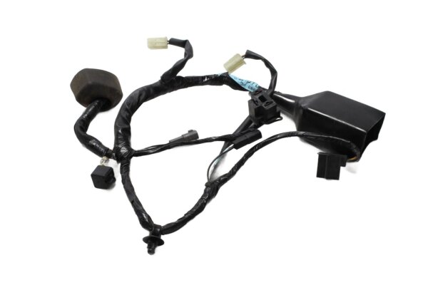 Wiring harness cockpit instrument front display Suzuki DL 650 V-Strom WVB1 04-06