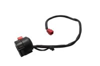 Right handlebar switch, ignition switch, kill switch...