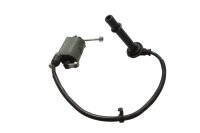 Ignition coil with ignition cable at the rear, individual...