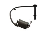 Ignition coil with ignition cable at the rear, individual...