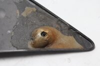 Forreste højre sidepanel, bagpladedæksel BMW K 1300 R K43 0518 09-15