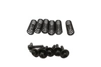 Clutch spring set, compression springs, screws Suzuki DL...