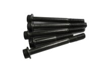 Engine screws, screw set, fastening Suzuki DL 650 V-Strom WVB1 04-06