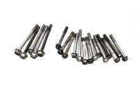Engine screws, screw set, fastening Suzuki DL 650 V-Strom WVB1 04-06