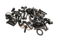 Engine screws, screw set, fastening Suzuki DL 650 V-Strom WVB1 04-06