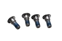 Rear brake disc screws, Suzuki DL 650 V-Strom WVB1 04-06