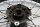 Egerfælg for 2.15x19 nav BMW G 650 Xcountry E65X 0164 K15 07-10