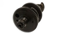 Krumtapaksel, drivaksel, svinghjul, gear, motor BMW K 1300 R K43 0518 09-15