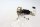 Brandstofpomp, brandstofniveausensor, vlotter Suzuki DL 650 V-Strom WVB1 04-06