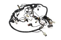 Johtosarja, pääjohtosarja, sähköjärjestelmä, sytytys KTM Duke 690 690DUKE/10 10-11