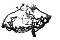 Johtosarja, pääjohtosarja, sähköjärjestelmä, sytytys KTM Duke 690 690DUKE/10 10-11