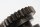 Balansaxel kompletta kugghjul lager motor BMW K 1200 R K43 0594 05-08