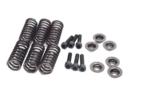 Clutch springs, screws, plates, clutch Kawasaki GPz 1100 ZXT10E/E 95-98