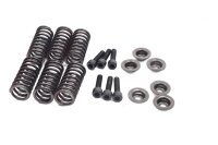 Muelles de embrague, tornillos, discos, embrague Kawasaki...