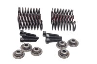 Muelles de embrague, tornillos, discos, embrague Kawasaki...