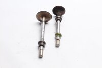 Einlassventil Auslassventil Ventil Motor Ducati Monster 620 i.e ZDMM400 02-06