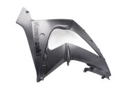 lower right side panel Kawasaki ZX-10R 1000 J Ninja 15-15