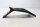 Kennzeichenhalter Rückstrahler Husqvarna Supermoto 701 Euro 5 701 SM/21 21-25