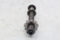 Arbre de pignon, chaîne de distribution, entraînement de pompe à huile BMW R 1200 GS DOHC K25 0460 10-12