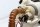 Brandstofpomp, benzinepomp 16147713957 BMW K 1200 R K12R K43 0584 05-08