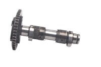 Camshaft control gear valve train timing MZ Baghira...