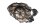Clutch cover, engine cover, oil filler cap MZ Baghira MUZ660E 98-06
