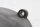 Coperchio dellalloggiamento del motore, in basso a destra, viti BMW K 1200 GT K44 K12S 0587 06-08