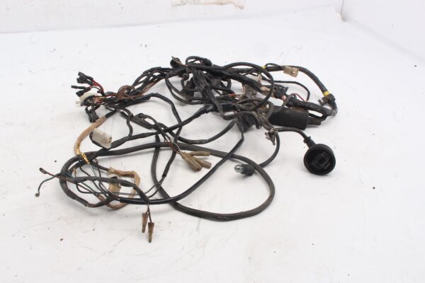 Mazo de cables, sistema eléctrico, mazo de cables principal, conector MZ Baghira MUZ660E 98-06