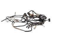 Wiring harness, electrical system, main wiring harness,...