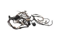 Mazo de cables, sistema eléctrico, mazo de cables principal, conector MZ Baghira MUZ660E 98-06