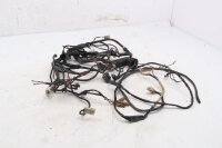 Mazo de cables, sistema eléctrico, mazo de cables principal, conector MZ Baghira MUZ660E 98-06