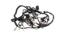 Kabelbaum Hauptstrang Elektrik Steuerleitung KTM Duke 690 690DUKE/14 14-15