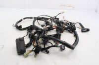 Kabelbaum Hauptstrang Elektrik Steuerleitung KTM Duke 690 690DUKE/14 14-15