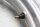 Vorderradfelge 19 Zoll Fünfspeichen Design BMW R 1200 GS K25 0307 R12 04-07