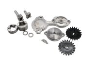 Ölpumpe Zahnräder Pumpengehäuse Rotor Kit komplett KTM Duke 690 690DUKE/14 14-15