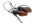 Juego de intermitentes naranjas delanteros izquierdo y derecho Suzuki GSX-R 1000 K1/K2 WVBL 01-02