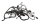 Cablaggio, cablaggio principale, connettori elettrici BMW K 1200 R K12R K43 0584 05-08